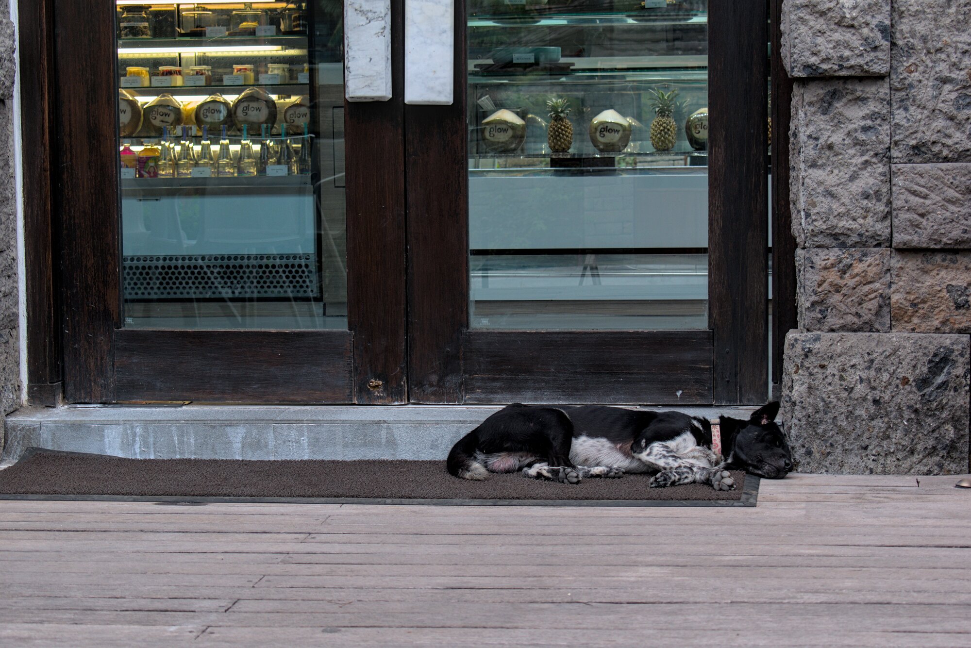 A stray dog sleeping in front of a shop door.