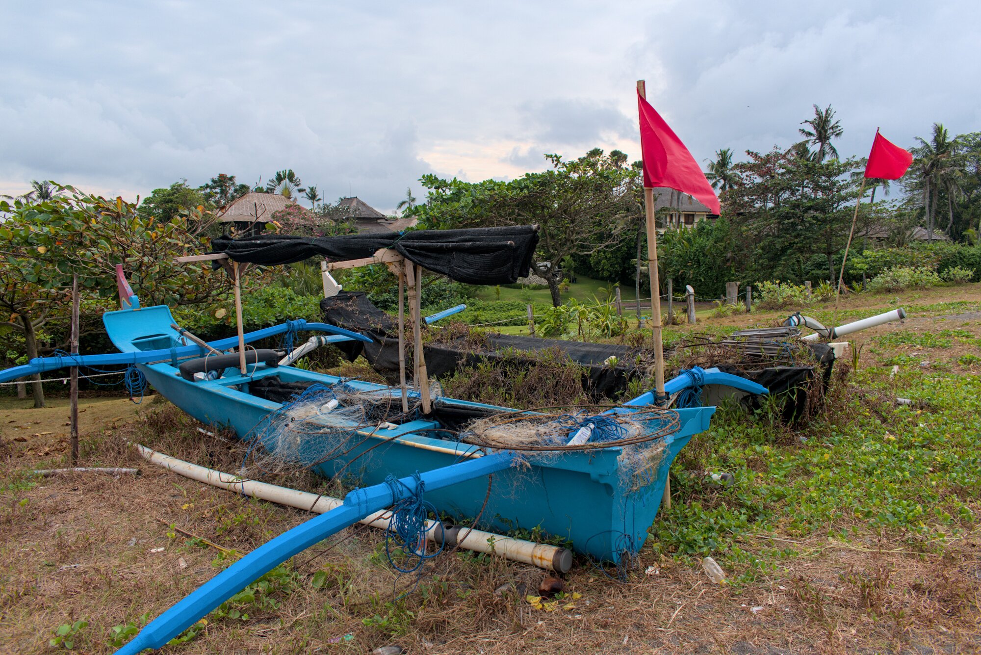 An almost fake-looking blue boat sitting high on the grass near the beach.