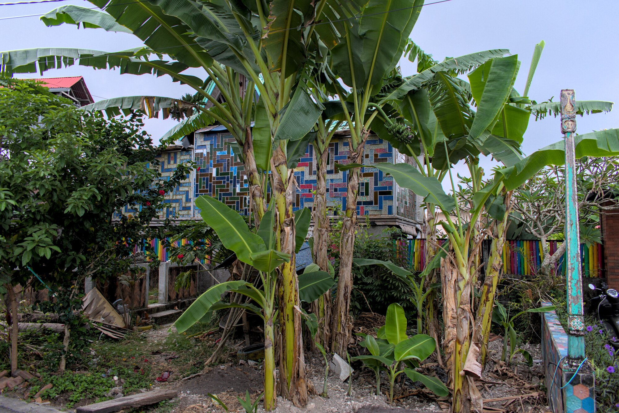 A home of some kind with an enormous mosaic wall, behind banana trees and other foliage.